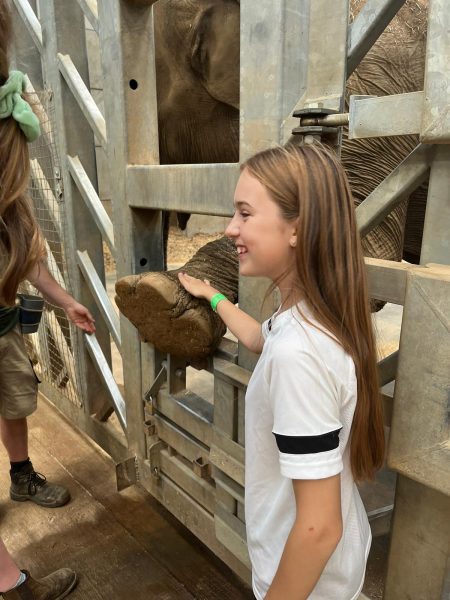 Maisie Parry with elephants at Blackpool Zoo